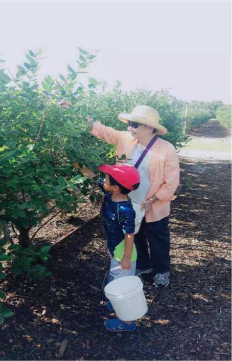 Strawberry_pick_up1