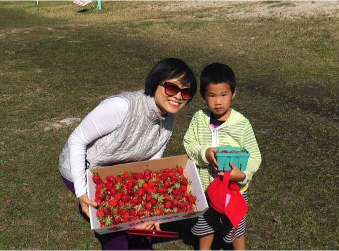Strawberry_pick_up3